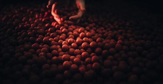 SINGLEPLAYER Krmné Boilie 2026