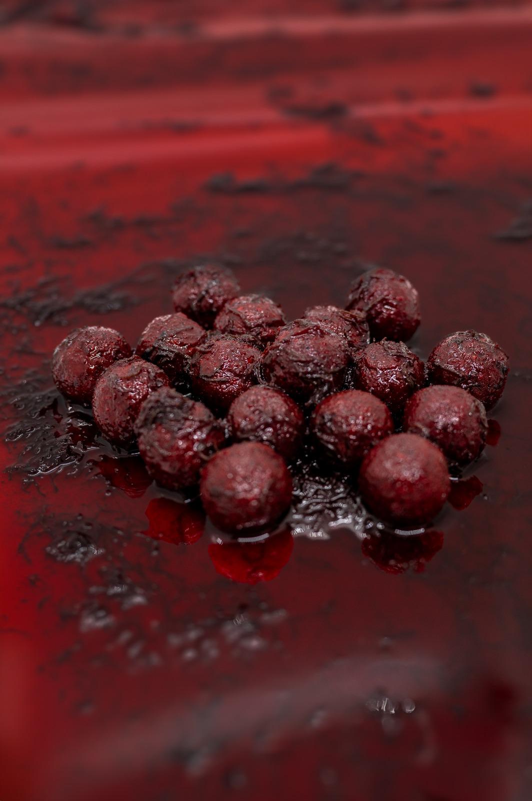 Bloodworm